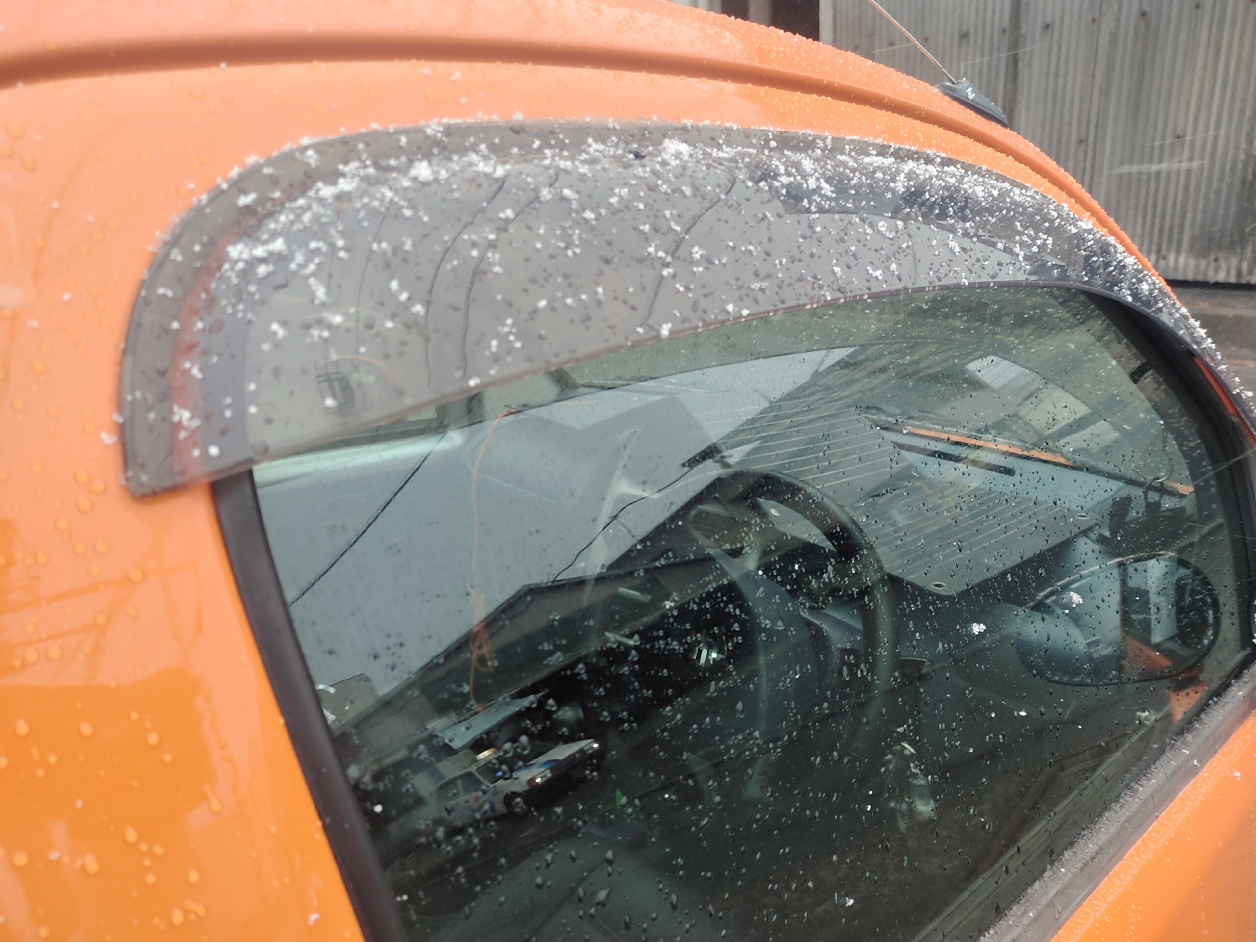 静岡市では珍しい雪景色